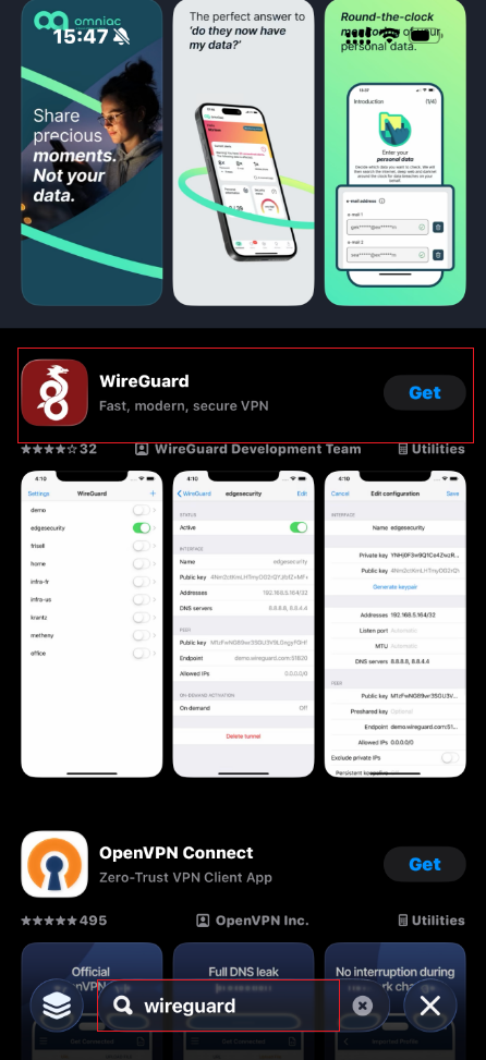 搜索并下载 WireGuard